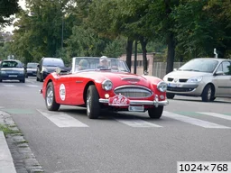 [img_mini]b89e7fc996.jpg[/img_mini]