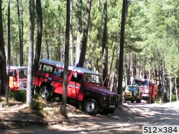 [img_mini]b8a02d2584.jpg[/img_mini]