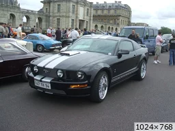 [img_mini]b97eb8a22c.jpg[/img_mini]