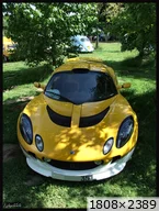 lotus