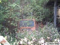 [img_mini]c4ae2529e5.jpg[/img_mini]