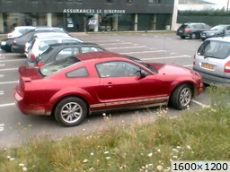 [img_mini]c4e77da481.jpg[/img_mini]