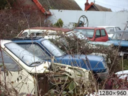 [img_mini]c5dfad8796.jpg[/img_mini]