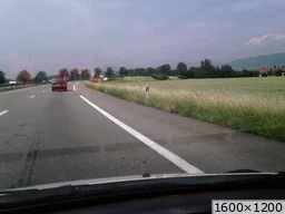 [img_mini]c620355e83.jpg[/img_mini]