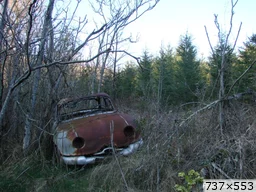 [img_mini]c998e7317a.jpg[/img_mini]