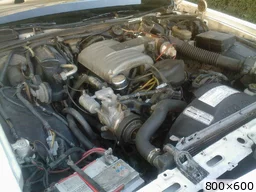 [img_mini]cc13fc4650.jpg[/img_mini]