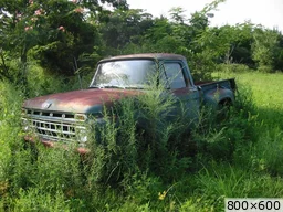 [img_mini]cda4b3df83.jpg[/img_mini]