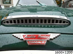 [img_mini]cdcac4eef1.jpg[/img_mini]