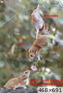 [img_mini]d404fbfc57.jpg[/img_mini]