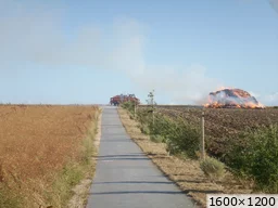 [img_mini]d445fd21ae.jpg[/img_mini]