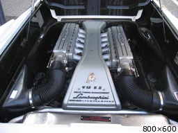 [img_mini]d475b5c368.jpg[/img_mini]