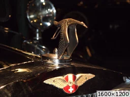 [img_mini]d73c969f79.jpg[/img_mini]