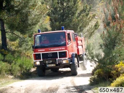 [img_mini]d9410313a3.jpg[/img_mini]