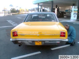 [img_mini]dda9205a11.jpg[/img_mini]