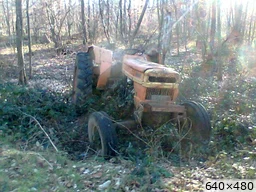 [img_mini]e105d417ae.jpg[/img_mini]