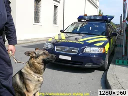 [img_mini]e3f0db7a2c.jpg[/img_mini]