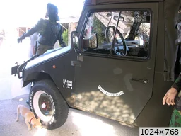 [img_mini]e9762ed3c1.jpg[/img_mini]