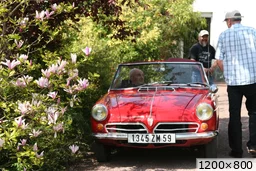 [img_mini]ea7fb2a5ad.jpg[/img_mini]