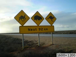 [img_mini]ee8f50564b.jpg[/img_mini]