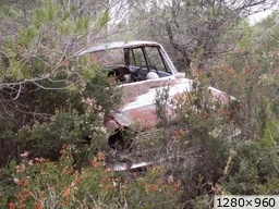 [img_mini]ef0afced58.jpg[/img_mini]