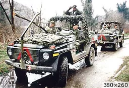 [img_mini]f37afc3018.jpg[/img_mini]
