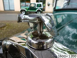 [img_mini]f397df17a9.jpg[/img_mini]