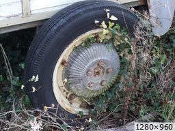 [img_mini]f83378cd8f.jpg[/img_mini]