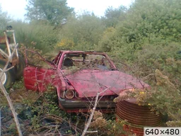 [img_mini]f9fc4a3b07.jpg[/img_mini]