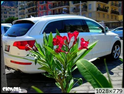 [img_mini]fa3b1852d3.jpg[/img_mini]