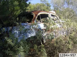 [img_mini]ffd85097b8.jpg[/img_mini]