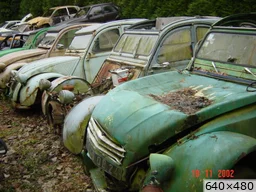 Cliquez pour agrandir [img_mini]juju_vwgqo.jpg[/img_mini]
