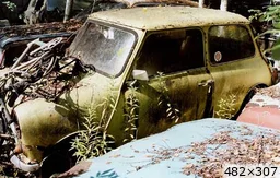 Cliquez pour agrandir [img_mini]tybreton_kf2ag.jpg[/img_mini]
