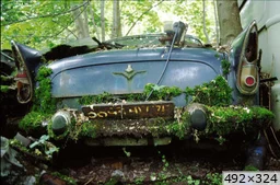 Cliquez pour agrandir [img_mini]tybreton_ly5av.jpg[/img_mini]