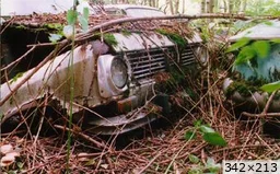 Cliquez pour agrandir [img_mini]tybreton_z9bd9.jpg[/img_mini]