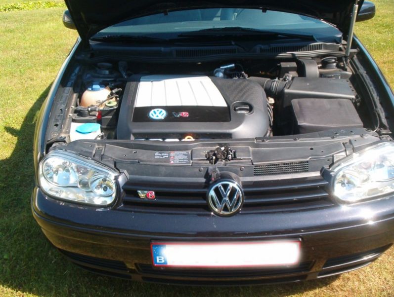 Combien De Chameau Vaut Ma Copine photo de ma "golf" et la "polo" de ma copine - Auto titre