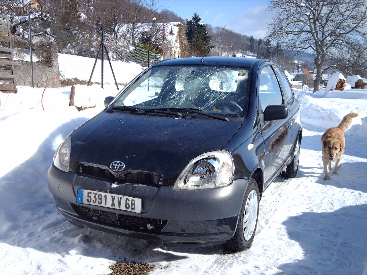 Rencontre Avec Un Chasse Neige Auto Titre