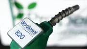 Le biodiesel européen, bourré d'huile de palme, nouveau scandale ?