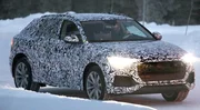 Programme hivernal chargé pour l'Audi Q8