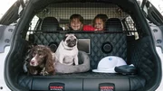Nissan dévoile le X-Trail pensé pour les chiens