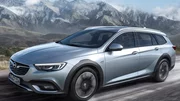 Opel Insignia Country Tourer : Version des champs