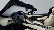 Lamborghini Aventador S Roadster : anti-brushing