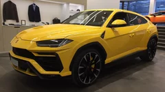 Tout savoir sur la Lamborghini Urus