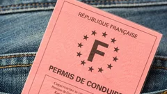 Emmanuel Macron: bientôt une "baisse drastique" du coût du permis de conduire