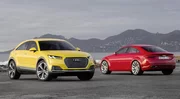 Audi Q4 : commercialisation en 2019 pour le TT Offroad ?