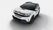 Citroën : "Nous continuerons à proposer des diesels jusqu'à ce que les clients n'en veulent plus"
