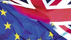 Brexit or not Brexit? That's the question