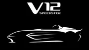 Un Speedster Aston Martin avec V12 en vue