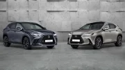 Lexus NX (2022) : Gamme et prix du nouveau SUV compact