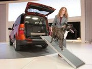 Nouveau Honda Element Concept : une voiture qui a du chien !