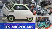 Mondial de Paris 2022 : les microcars électriques présentes en force